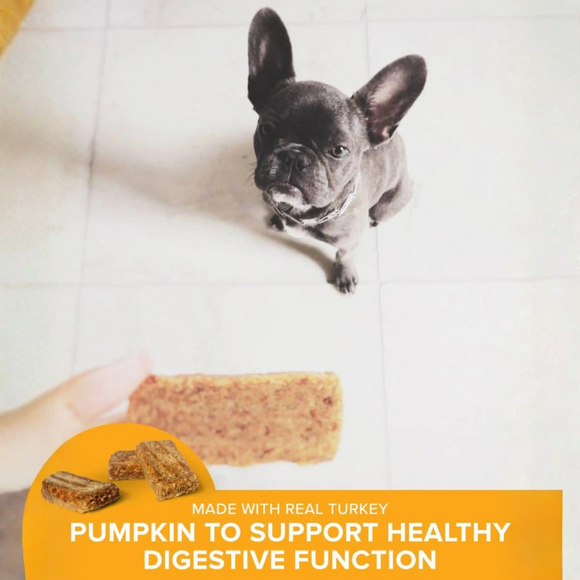 Plato Original Real Strips Turkey with Pumpkin Dog Treat Bars
