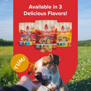 Plato Original Real Strips Turkey with Cranberry Dog Treat Bars-6