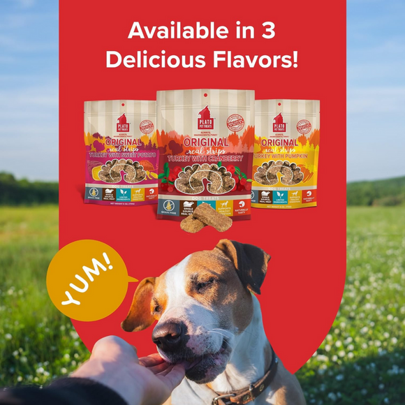 Plato Original Real Strips Turkey with Cranberry Dog Treat Bars