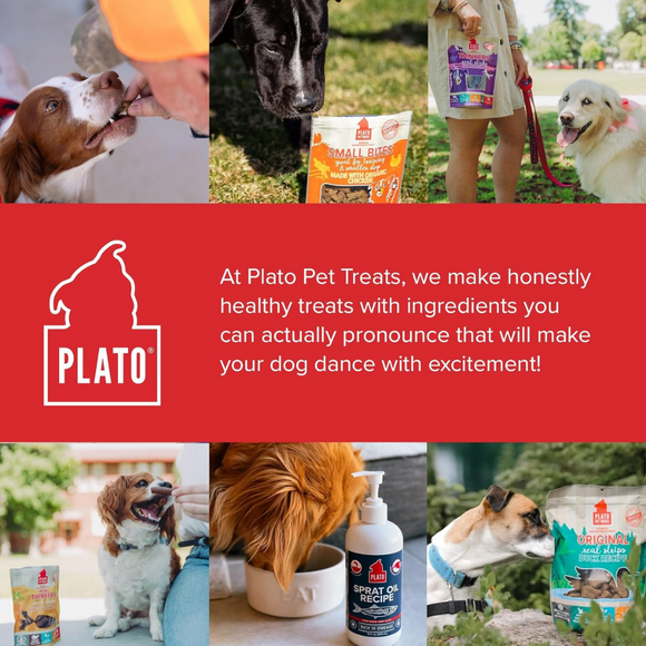 Plato Original Real Strips Turkey with Cranberry Dog Treat Bars