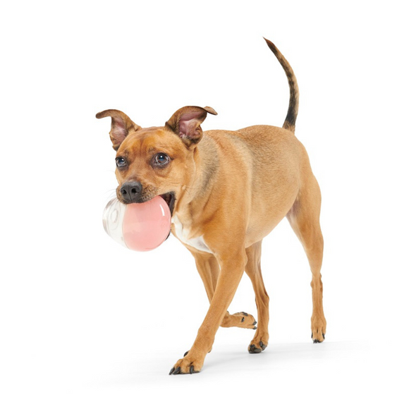 Bark Tipsy Rose Dog Toy, Valentine’s Theme Super Chewer Rubber Wine Toy