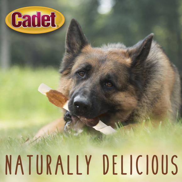 Cadet Gourmet Beef Hide X-LARGE Shish Kabob Dog Treats - Dog Treats 13