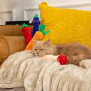 ZippyClaws Kickerz Cat Toy, Carrot-4