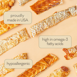 Polkadog Salmon Skins Shorties Smoked Salmon Jerky (3 oz) - 0