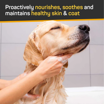 Silver Honey Skin & Coat Care Shampoo with Odor Neutralizer for Dogs & Cats (16 oz) - 0