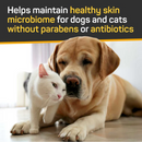 Silver Honey Skin & Coat Care Shampoo with Odor Neutralizer for Dogs & Cats (16 oz)-3