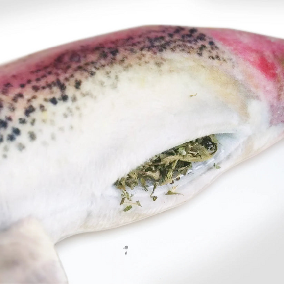 Meowijuana Refillable Get Smoked Fish Cat Toy with Refillable Catnip