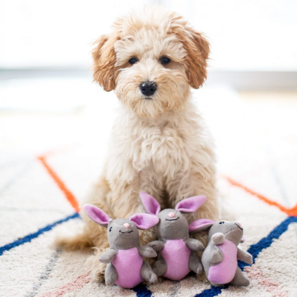 ZippyPaws Miniz 3 Pack Bunnies Dog Toy