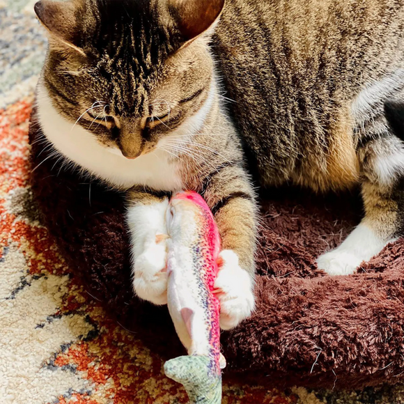 Meowijuana Refillable Get Smoked Fish Cat Toy with Refillable Catnip