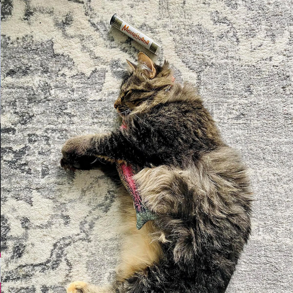 Meowijuana Refillable Get Smoked Fish Cat Toy with Refillable Catnip
