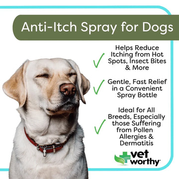 Vet Worthy Anti-Itch Spray for Dogs 8 oz - 0