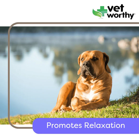 Vet Worthy Calming Soft Chews for Dogs (45 ct)