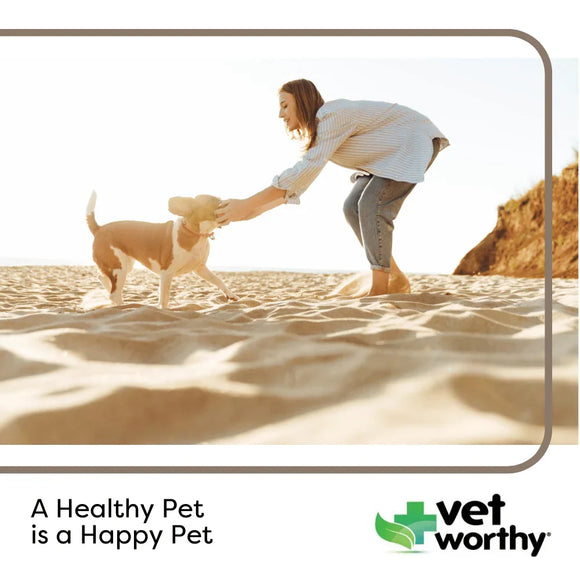 Vet Worthy Calming Soft Chews for Dogs (45 ct)