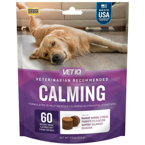 How to Protect Your Pet During New Year’s Festivities