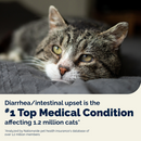 Glandex Daily Prebiotic & Probiotic Powder for Cats, Tuna Flavor, 4 oz-4