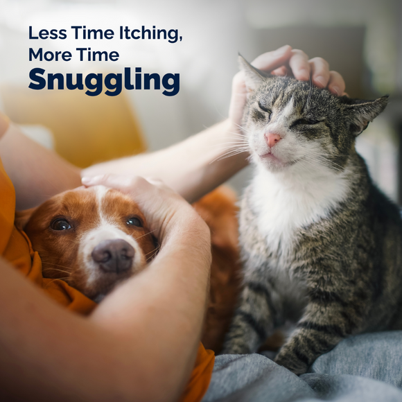 Dermabliss Advanced Vet Strength Anti-Itch & Allergy Relief Shampoo for Dogs & Cats, 16 oz