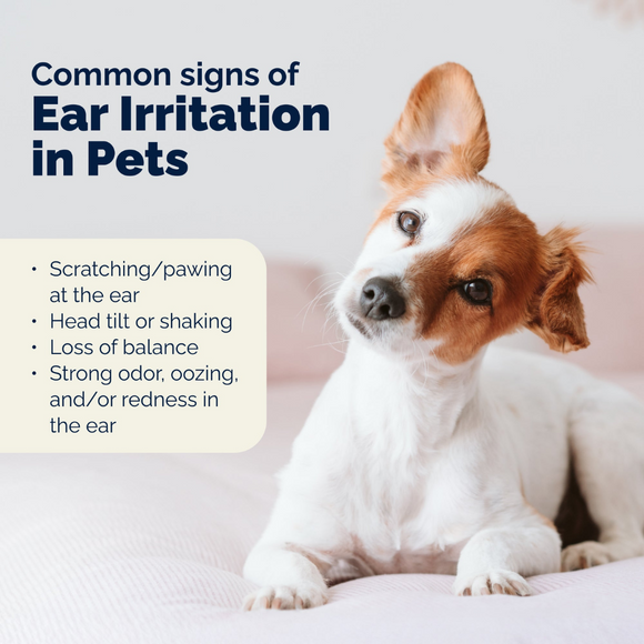 Oticbliss Advanced Vet Strength Medicated Ear Drops for Dogs & Cats, 1.8 oz