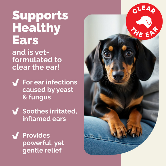 Oticbliss Advanced Vet Strength Allergy Ear Drops for Dogs and Cats, 1.8 oz