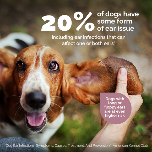 Oticbliss Ear Cleaning Flush For Dogs & Cats, 8 oz