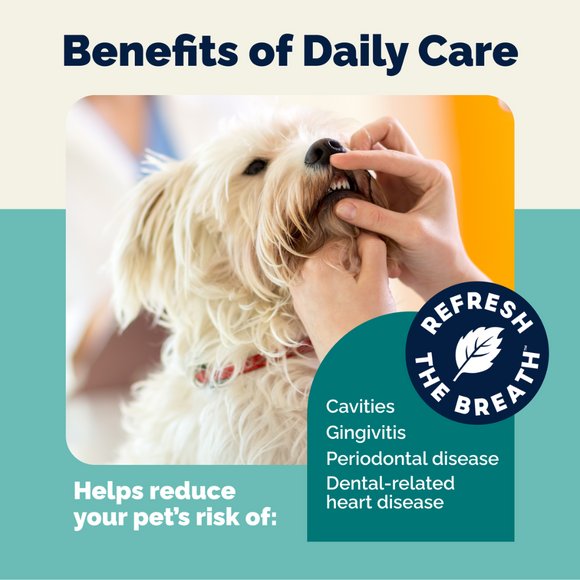 Dentabliss Daily Dental Wipes Finger Mitts for Dogs & Cats (50 ct)