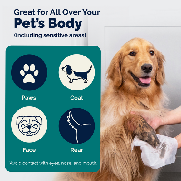 Dermabliss Grooming Wipes for Dogs & Cats (100 Wipes)