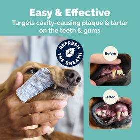 Dentabliss Daily Dental Wipes Finger Mitts for Dogs & Cats (50 ct) - 0