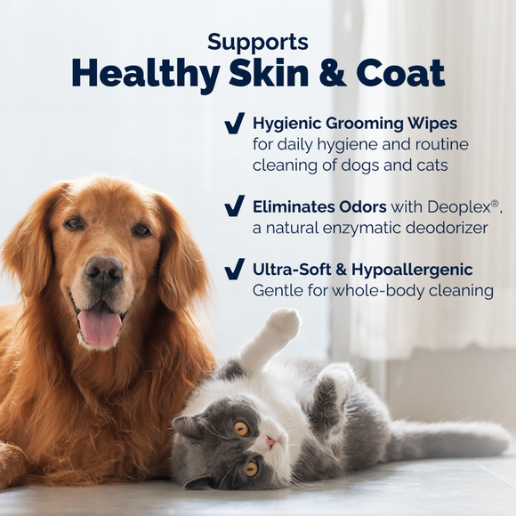 Dermabliss Grooming Wipes for Dogs & Cats (100 Wipes)