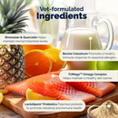 Dermabliss Seasonal Allergy Health & Immune Soft Chews for Dogs-3