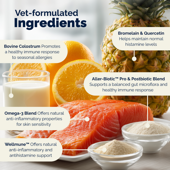 Dermabliss Advanced Vet Strength Seasonal Allergy Health Chews for Dogs