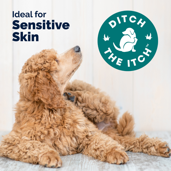 Dermabliss Seasonal Allergy Health & Immune Soft Chews for Dogs