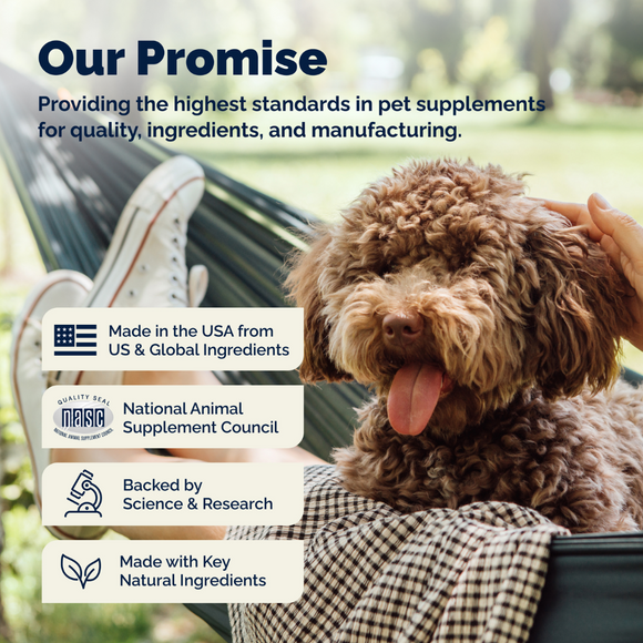 Dermabliss Advanced Vet Strength Seasonal Allergy Health Chews for Dogs