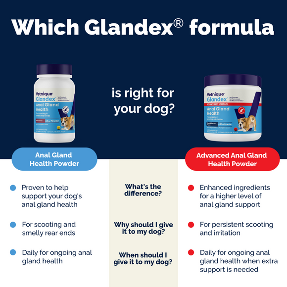 Glandex Anal Gland Health Powder Supplement for Dogs, Salmon Flavored