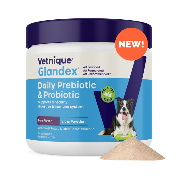 Glandex Daily Prebiotic & Probiotic Supplement Powder for Dogs, Pork Flavored