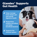 Glandex Daily Prebiotic & Probiotic Supplement Powder for Dogs, Pork Flavored-5