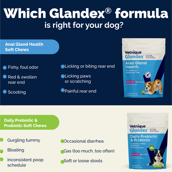 Glandex Daily Prebiotic & Probiotic Supplement Powder for Dogs, Pork Flavored