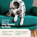 Dermabliss Advanced Vet Strength Hot Spot Spray, 8 oz-3