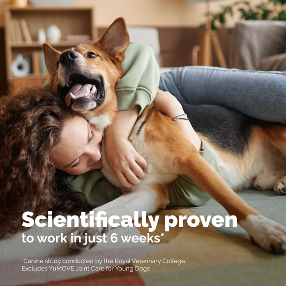 YuMOVE Hip & Joint Health Supplement For Dogs, 60 Soft Chews