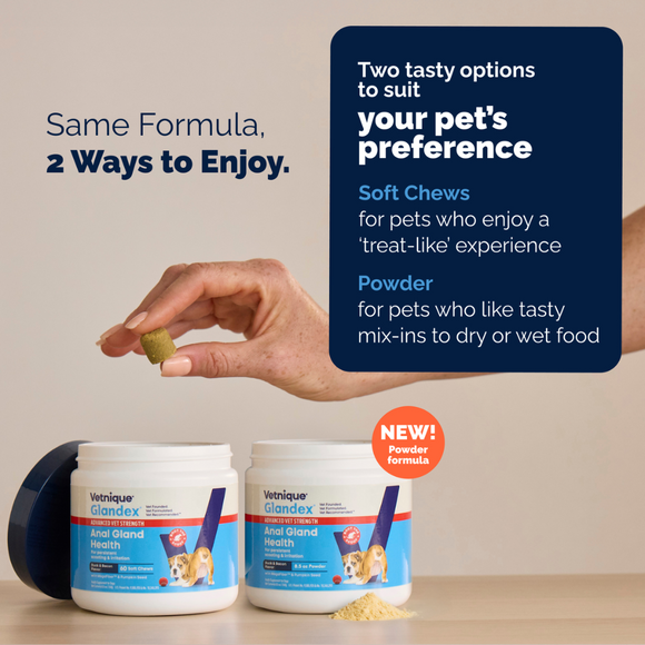 Glandex Advanced Vet Strength Anal Gland Health Powder