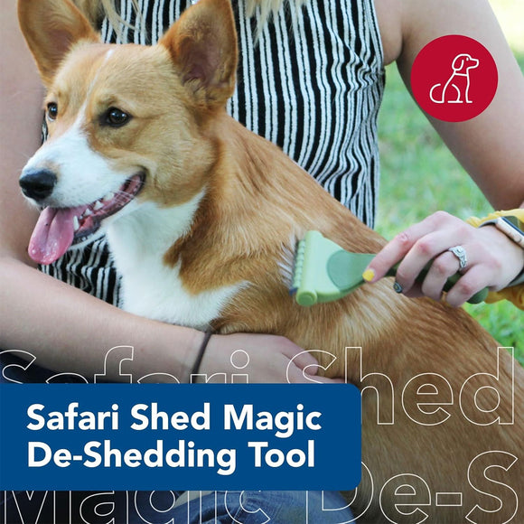 Dog being groomed with a de-shedding tool, featuring the Safari Shed Magic brand.