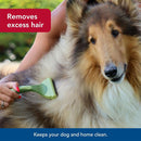 Dog being groomed with a brush, text indicating grooming benefits.