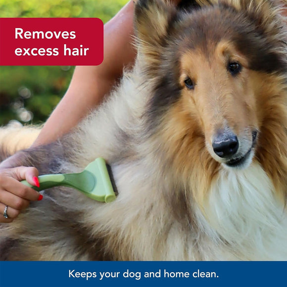 Dog being groomed with a brush, text indicating grooming benefits.