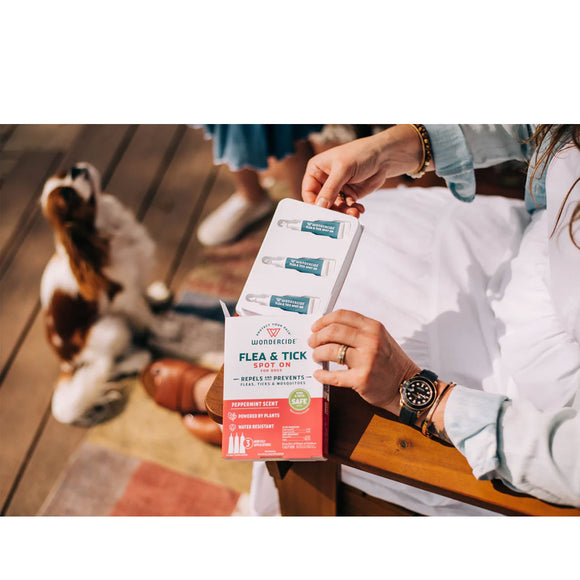 Person holding a box of Vectra flea and tick treatment for pets on a wooden floor with a dog in the background.