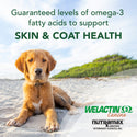 Welactin® Liquid for Dogs (16 oz)