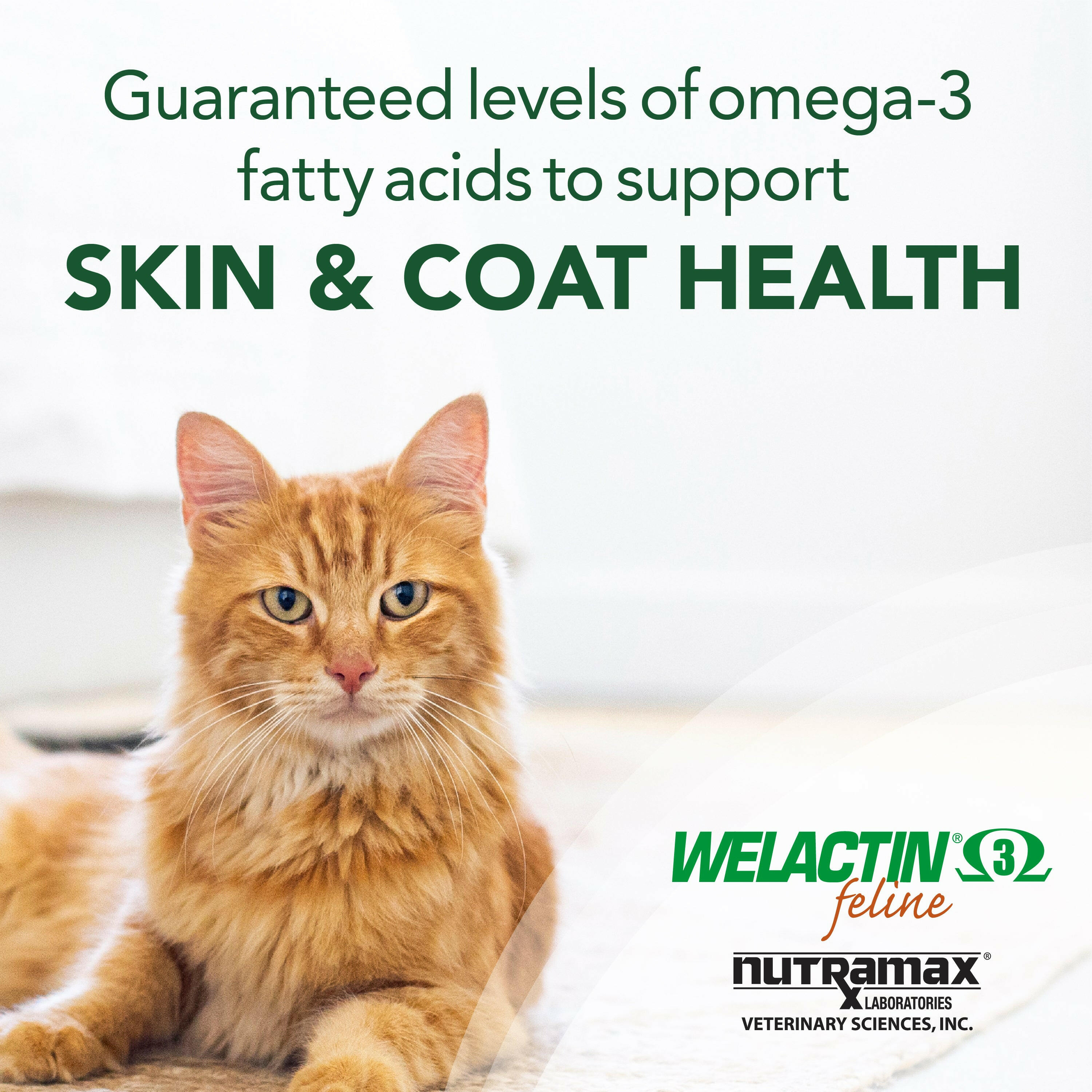 welactin omega-3 cat supplement