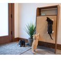 4 Cats & Dogs Wesley Cat Scratcher