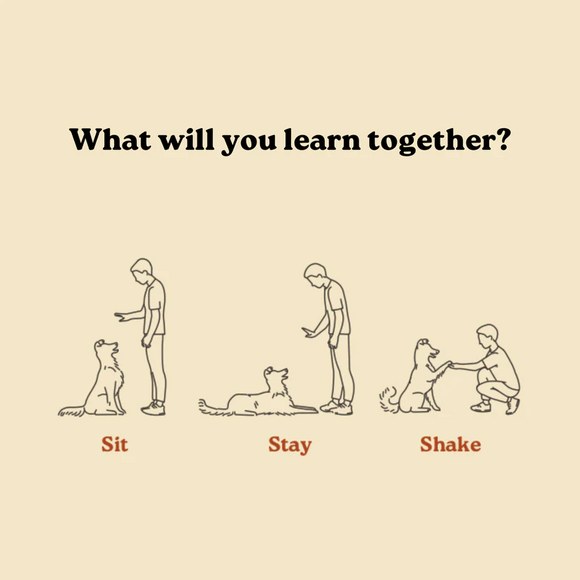 Earthly Off Leash Mini Trainers Tender Duck Recipe Dog Treats (5 oz)