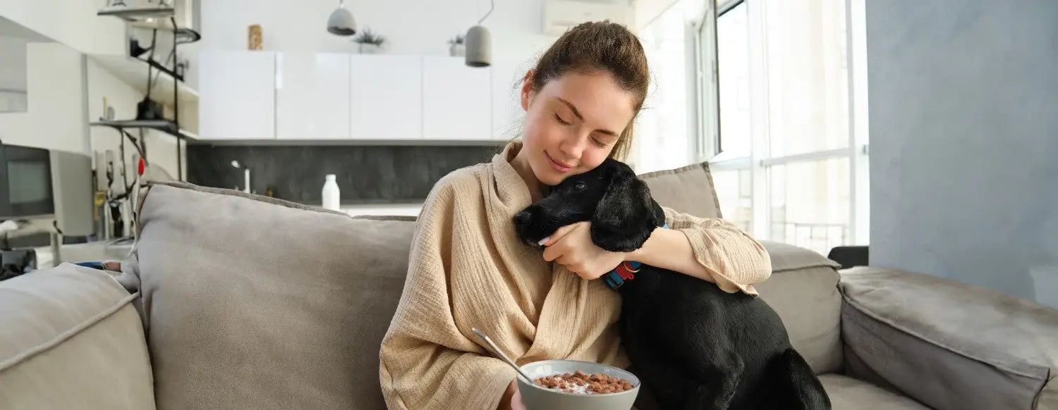 6 Best Flea and Tick Shampoos and Sprays for Dogs