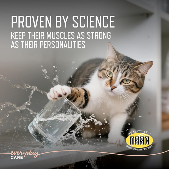 Virbac Ursolyx Muscle Care Soft Chews