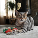 Yeowww! Strawberries Catnip Cat Toy-10