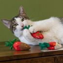 Yeowww! Strawberries Catnip Cat Toy-5